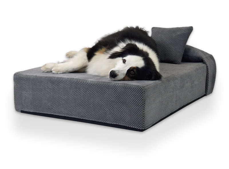 Hunde Luftbett – Bild 4