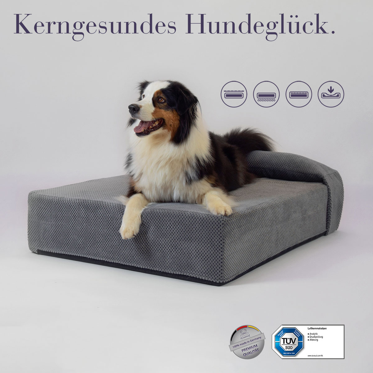 Hunde Luftbett – Bild 2