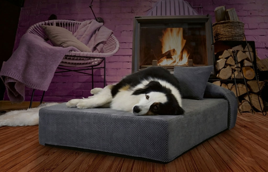 Hunde Luftbett